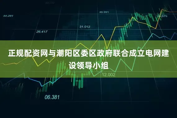 正规配资网与潮阳区委区政府联合成立电网建设领导小组