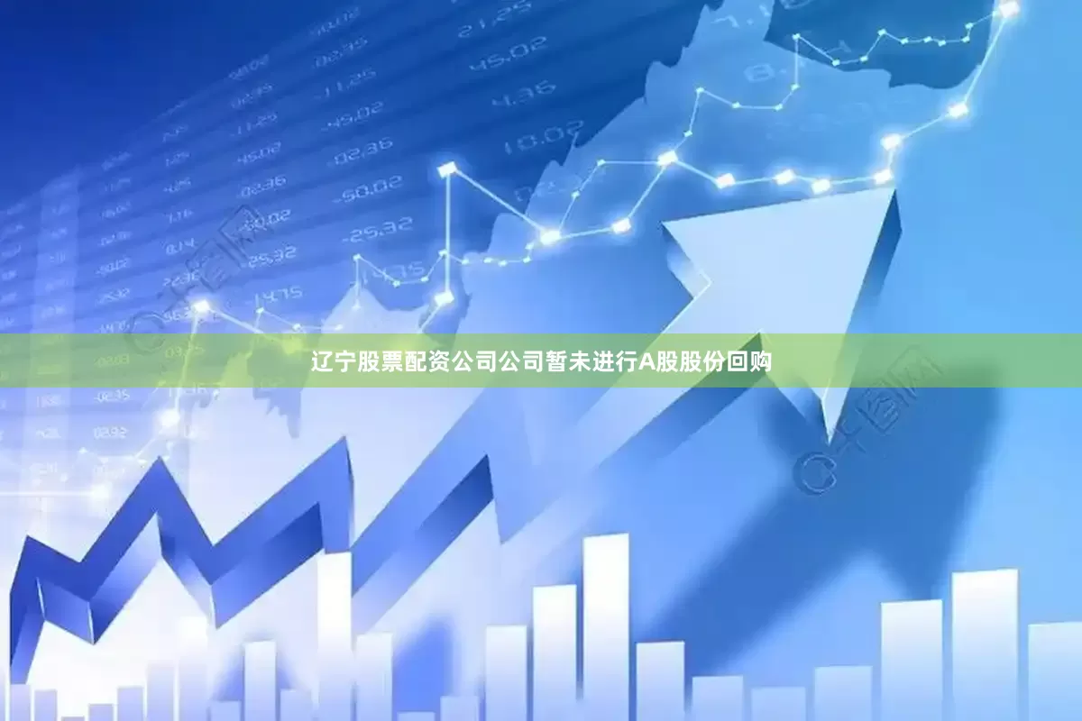 辽宁股票配资公司公司暂未进行A股股份回购